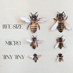 48 Mini Bumble Bee Cutouts Realistic Paper Decorations FREESHIP USA