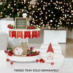 Beautiful Tiered Tray Decor Set for Christmas – Interchangeable All Season De…