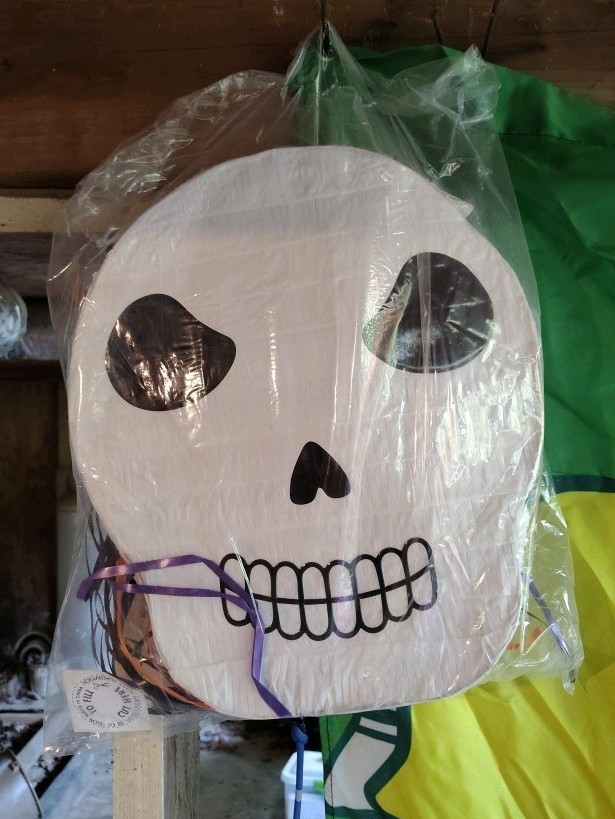 Skull Pinata Pinata Dia de los Muertos Pinata