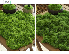 Artificial Moss Grass Mat 200g for Miniature Landscaping Model and Terrarium