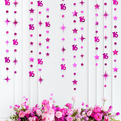 Hot Pink Number 16 Circle Dot Twinkle Star Garland Hanging Streamer Bunting Bann