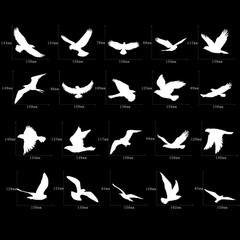 Large Size Anti-Collision Window Clings – Translucent/Dusted Bird Deterrent f…