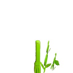 Lime Green Metal Tree Branches Display Money Gift Cards Ornaments Scrooge