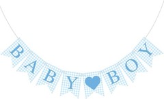 1 Pcs Blue Gingham Baby Boy Banner for Party Decorations Blue Pre Strung Baby…