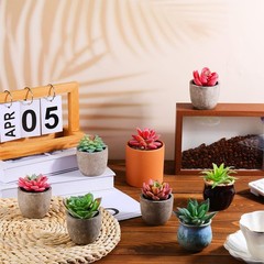 WILLBOND 50 Pcs Bulk Mini Artificial Succulents Plants Assorted Normal Style