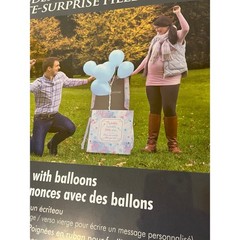 Snap-N-Store Gender Reveal Box Medium Pink Blue NEW Reusable Magnetic 16.5×17.5
