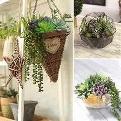 Anoak Artificial Succulent Plants – 16 Pcs Set Faux Green,multi-color