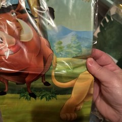 Lion King Party Decoration Kit! With Paper Plates, Utensils, Birthday, Balloons