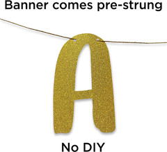Pre-Strung Funny Birthday Gold Glitter Banner – Funny Retirement Decorations for