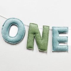 One Silly Goose Birthday Decorations Sage Green Dusty Blue Felt Handmade Pre-Str