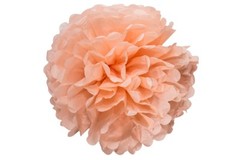 46 Pcs Tissue Paper Pom Poms Tassel Flowers Lanterns Honeycomb Party Decorations