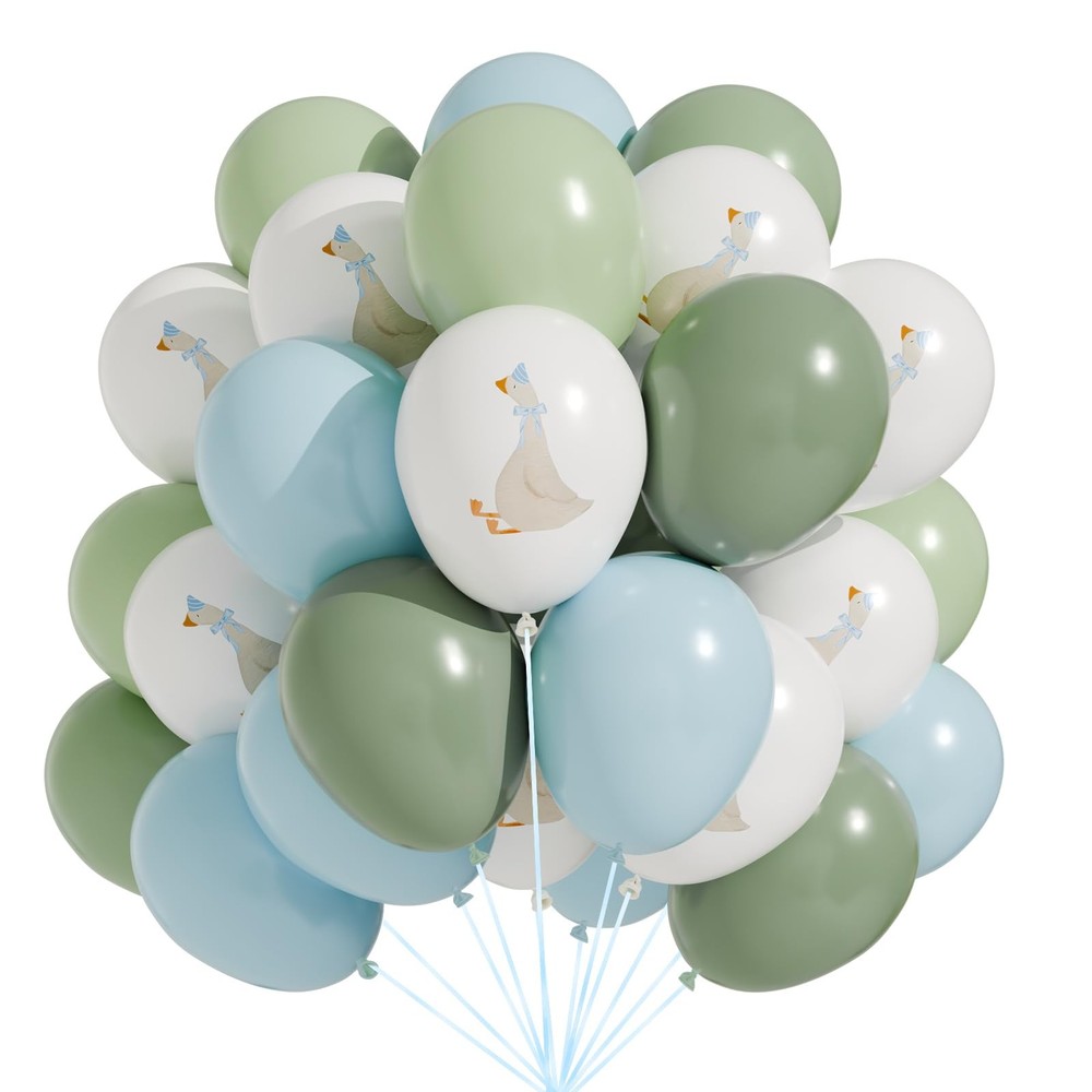 60 Pcs Bow Goose Balloons Set, 12 Inch Blue Green Latex Balloons Silly Goose …