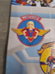 DC Super Hero Girls Honeycomb Hanging Birthday Party Decorations Wonder Woman +