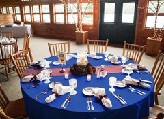 fani 8-Pack 90″ Round Tablecloth, Royal Blue Polyester Fabric Table Cloth