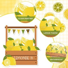 Lemon Bulletin Board Decorations Lemonade Stand Squeeze The Day Cutouts Set