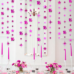 Hot Pink Number 16 Circle Dot Twinkle Star Garland Hanging Streamer Bunting Bann