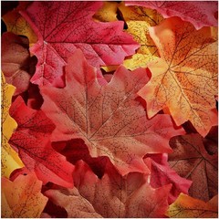 Whaline 300 Pieces Fall Artificial Maple Leaves Faux Autumn Multicolored