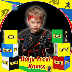 6 Pcs Ninja Birthday Party Decorations Karate Large Boxes for Game Party Decor M