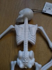 2 SKELETONS White Jointed Hanging Plastic 36x12x5.5cm New Funky Fun Decoration
