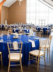 fani 8-Pack 90″ Round Tablecloth, Royal Blue Polyester Fabric Table Cloth