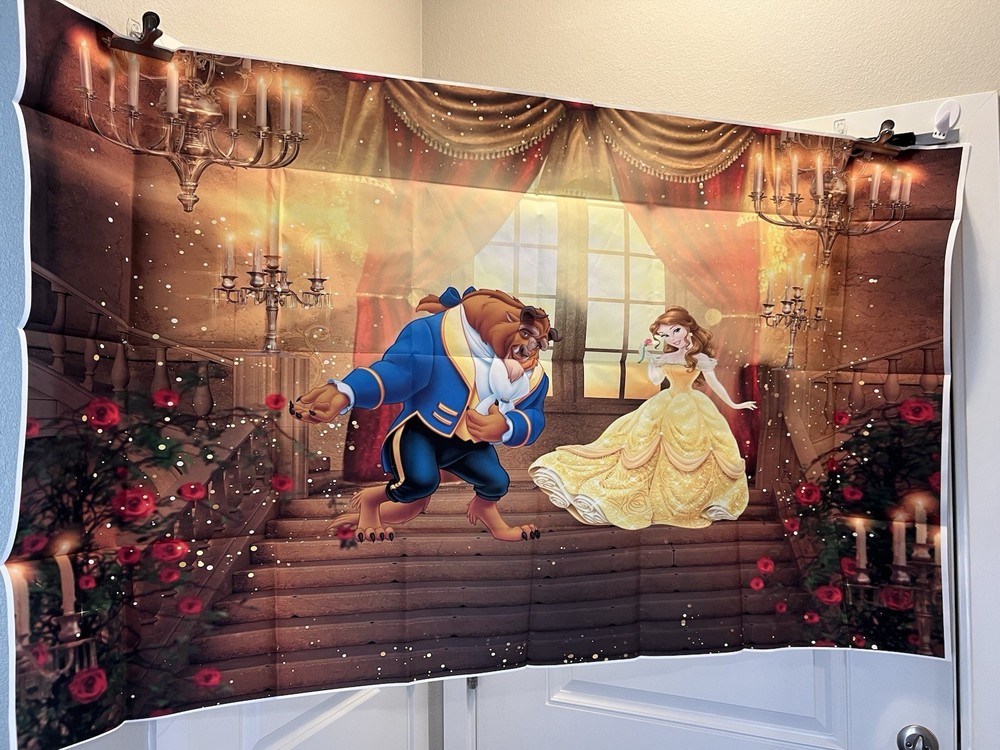 Beauty And The Beast Belle Backdrop 5×3 Decor #300 Tapestry
