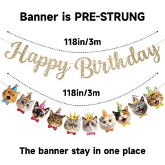 Cat Happy Banner Pre-Strung Cat Party Decorations NO DIY Gold Glitter Happy S…