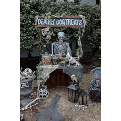 Mouse Standing Skeleton – Morris Costumes