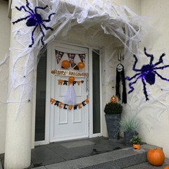 Halloween Large Spider Light Up Haunted House Prop Outdoor Indoor Party Decor ET