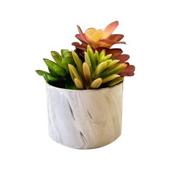 Karlliu Artificial Plants Cute Colourful Succulents in 4×4 inch, Colorful