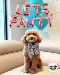 9 Pcs Lets Pawty Balloons Banner 16 Inch, Dog Cat Pet Letters Sign Lets Pawty…