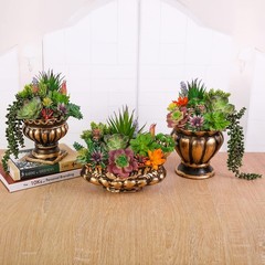 COTSEN 18 Pack Artificial Succulents Realistic Textured Fake 0, 18pcs