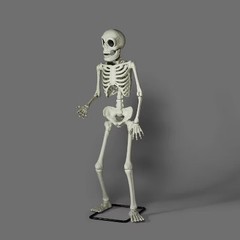 Animated Premium Skeleton Halloween Scene Prop – Hyde & EEK! Boutique