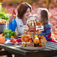 Set of 15 Thanksgiving Fall Tiered Tray Decor Pumpkins Farmhouse Decor Autumn…