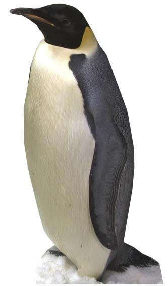 PENGUIN – LIFESIZE CARDBOARD CUTOUT / STANDEE