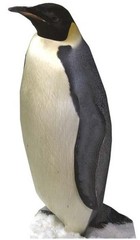 PENGUIN – LIFESIZE CARDBOARD CUTOUT / STANDEE