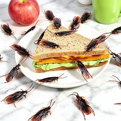 Halloween Prank Prop Roaches 5 Realistic