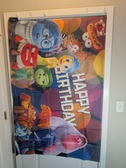 Inside Out Backdrop Banner Flag Tapestry 40″ X 60″ #400