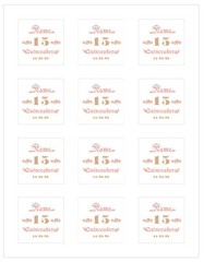 15 MIS QUINCE CROWN NAME PERSONALIZED PARTY BIRTHDAY STICKER DIFFERENT SIZES