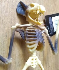 HANGING BAT SKELETON creepy Town 30x17x5cm Solid Plastic Funky Halloween Fun