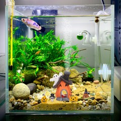 5PCS Fish Tank Decor Halloween Betta Holiday Decorations Pumpkin House