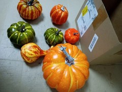 ADQUATOR Artificial Pumpkins 7 Pieces Orange Green Autumn Decoration Plastic New
