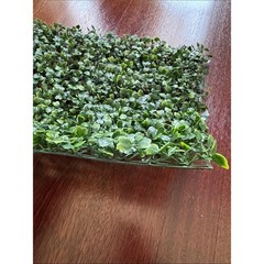 NEW Artificial Plants Grass Wall Backdrop Decoration Boxwood Hedge Panels