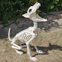Large Crazy Bonez Skeleton Wolf Halloween Decoration Poseable Static Display Pro