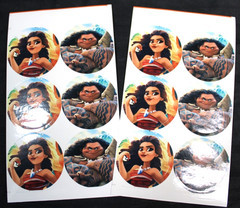 Disney Moana Birthday Party Supply Decorations – Banner, Plates, Props & MORE