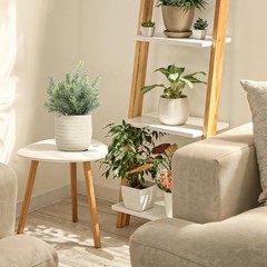 Hopewood Small Artificial Plants Eucalyptus with a Weave Green Plant Style B