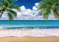 Hawaii Tropical Beach Ocean Backdrop Banner Seaside Palm Trees Photography