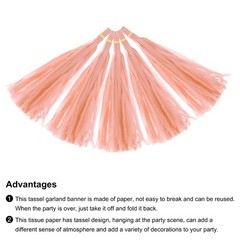 25Pcs Peach Pink Tassel Garland Banner with Rope