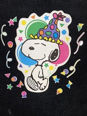 Vintage Peanuts Snoopy Magnets Happy Birthday Set Fridge Large Rare