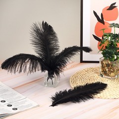 100 Pcs Natural Black / White Ostrich Feathers for Wedding Black