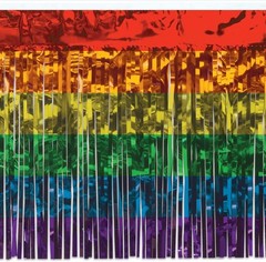 Metallic Plastic 1 Ply Rainbow Table Skirt Pride Decorations LGBQT Tableware 30″